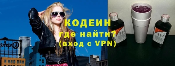 гашик Тайга