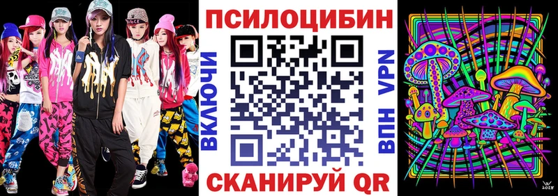 где найти   Купино  Галлюциногенные грибы прущие грибы 
